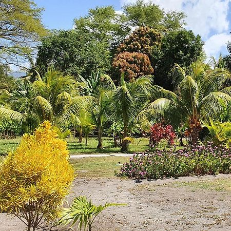 Rancho Tranquillo Hostel Moyogalpa Kültér fotó