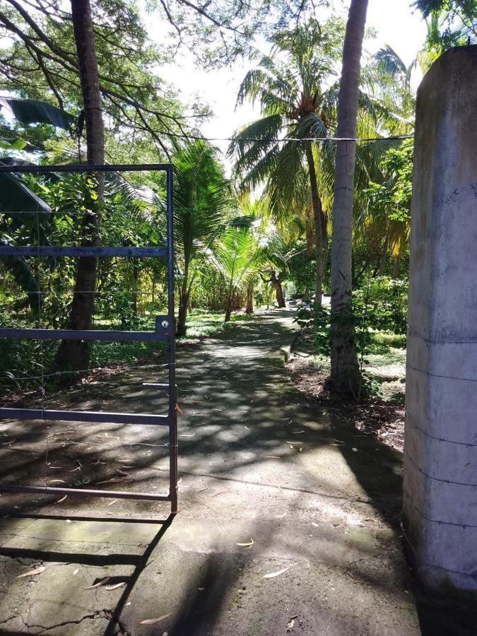 Rancho Tranquillo Hostel Moyogalpa Kültér fotó