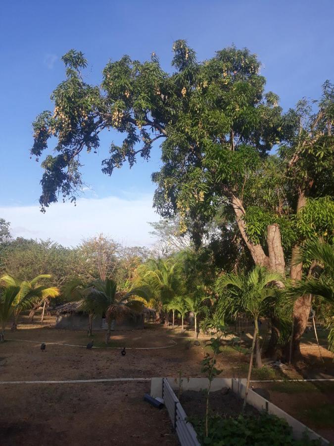 Rancho Tranquillo Hostel Moyogalpa Kültér fotó