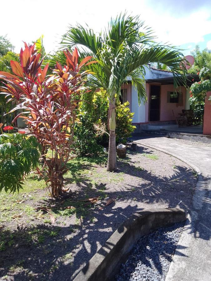 Rancho Tranquillo Hostel Moyogalpa Kültér fotó