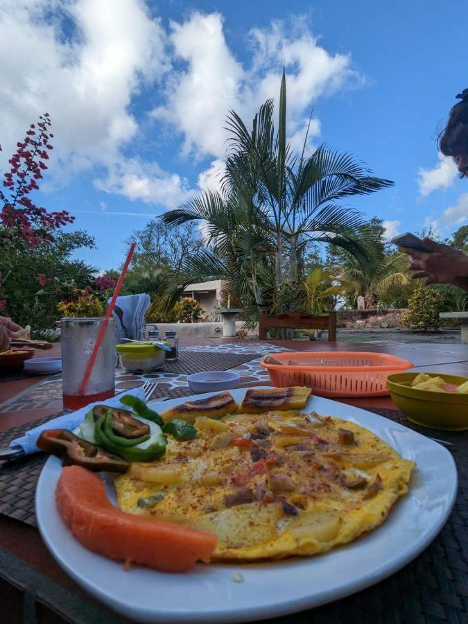 Rancho Tranquillo Hostel Moyogalpa Kültér fotó