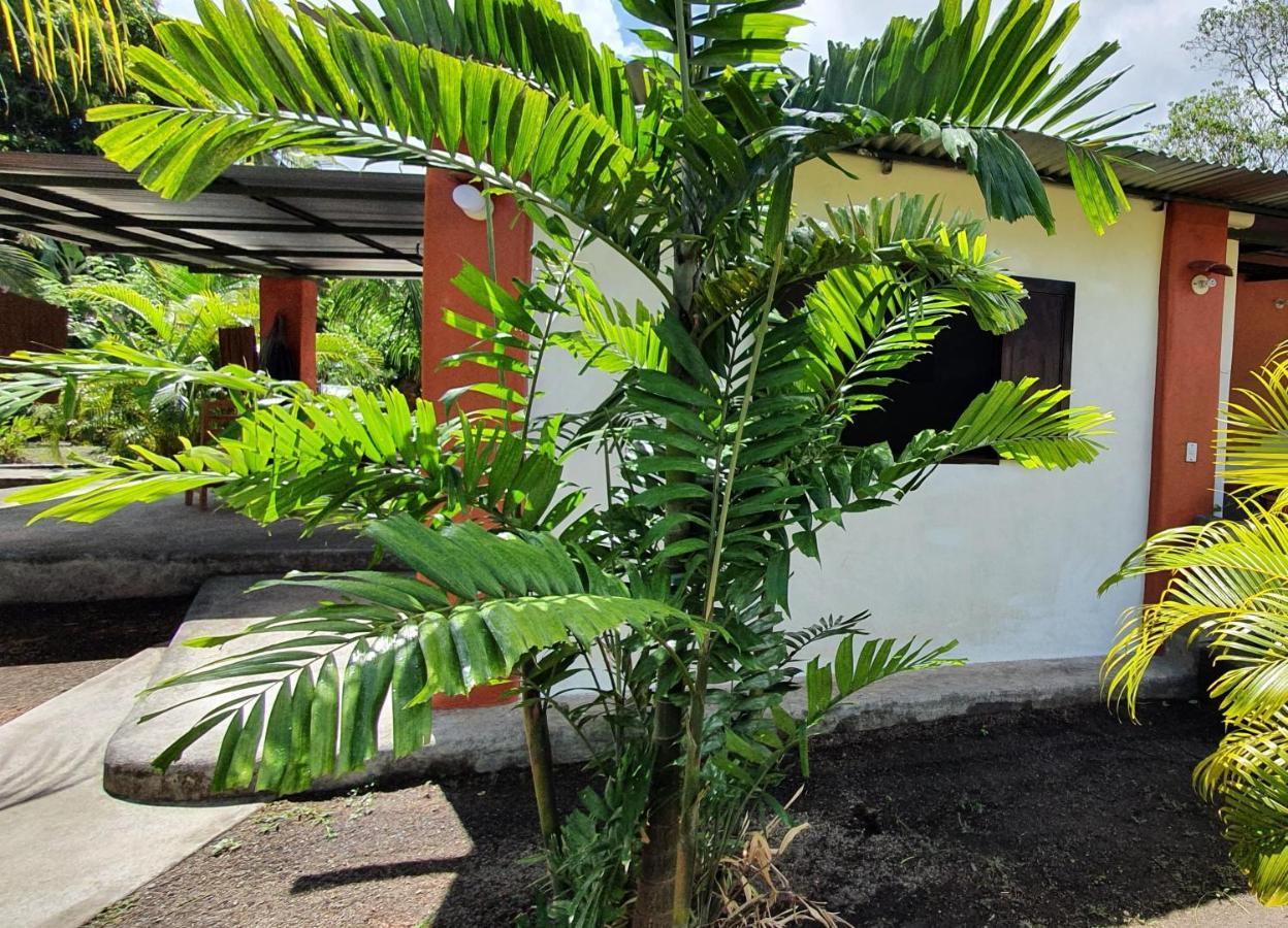 Rancho Tranquillo Hostel Moyogalpa Kültér fotó